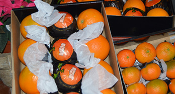 45 Oranges and 28 Tangerines Gourmet