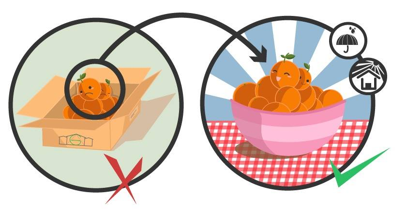 Error 404 - Page not found