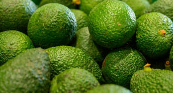 Avocados Hass 1Kg