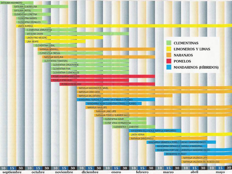 Season Calendar