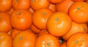 Tangerines Clementinas 18 Kg