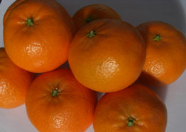 Buy Mandarins (Tangerines)