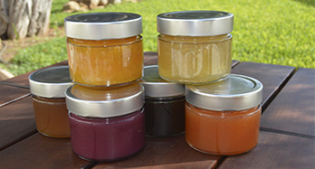 Buy Marmalade Online