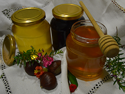 Buy Honey Online