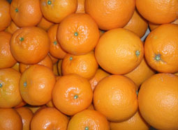 Buy Box of Varied Fruits - Valencia oranges and mandarins online