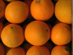 Buy Oranges Online