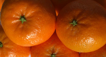 Tangerines Hernandina 12 Kg