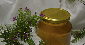 Thyme Honey 1 Kg