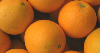 Oranges Navelina 18 Kg