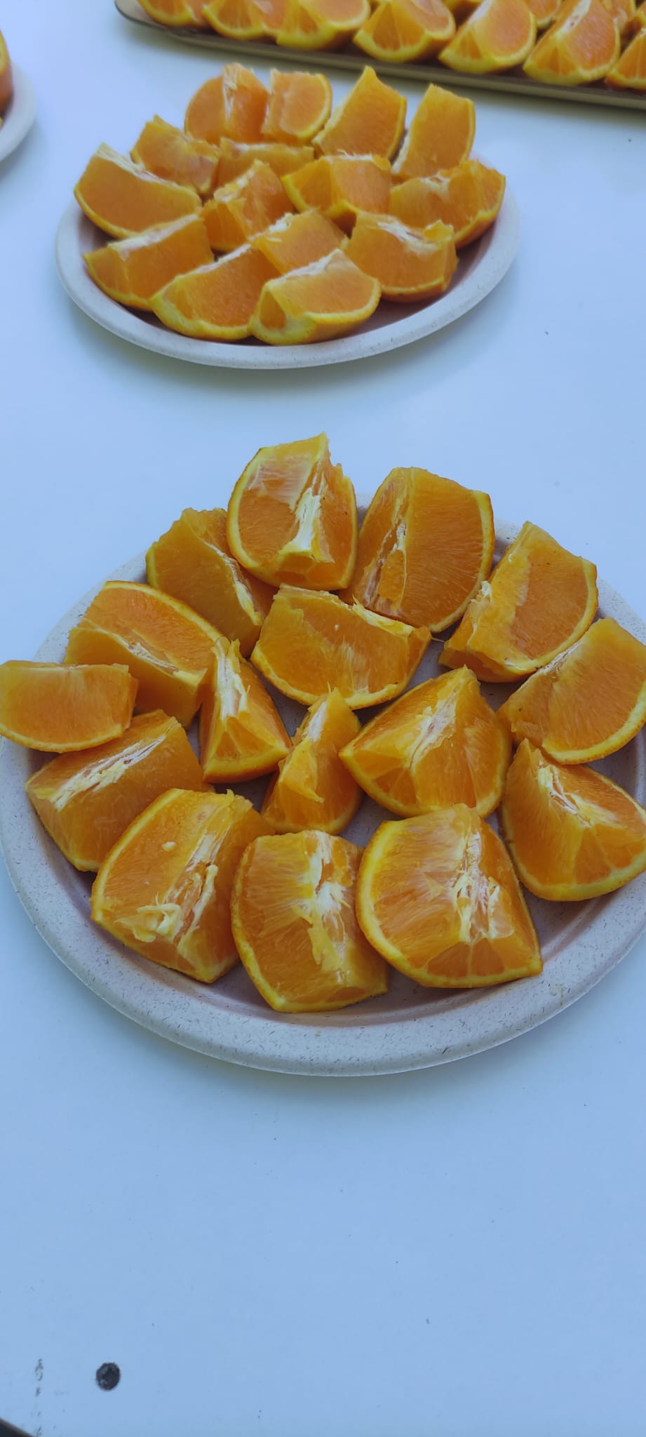 Hort Alba Garcés